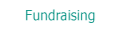 Link to Fundraising page